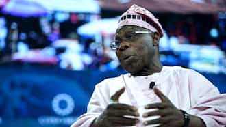          Obasanjo to Nigerians: Don't vote preside